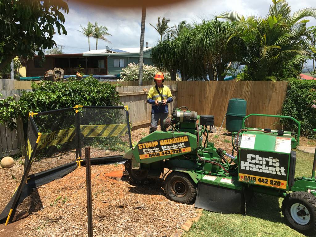 Tree Stump Removal Ballina NSW Qld Realsetate