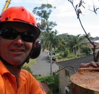 Port Tree Fella - Renee
