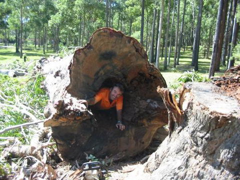 Port Tree Fella - Renee 2