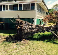 Weier Troy Tree Service - Internet Find