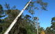 D & M Tree Services - thumb 3