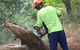 D & M Tree Services - thumb 4