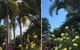 Trees North - thumb 2