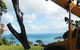 PW Tree Services - thumb 0