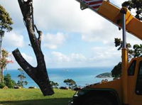 PW Tree Services