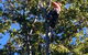 PW Tree Services - thumb 2