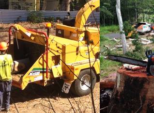 PW Tree Services - Renee 3