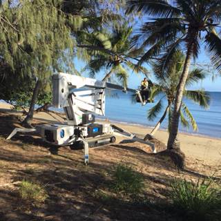 Bowen Woodchipping - Internet Find 2