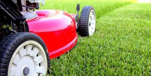 Lawnmowing Maintenance Parkside QLD Internet Find