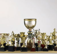 Ace Wholesale Trophies  Engraving - Renee