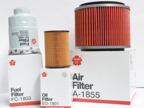 BayZoil & Filters - Renee 1