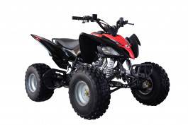 Lismore Steering Suspension & Mechanical - Swimm 12