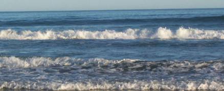 Funerals Woy Woy NSW Qld Realsetate