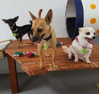 Gympie Doggy Day Care - Renee
