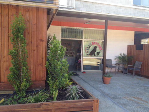 Gympie Doggy Day Care - Renee 4