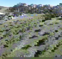 Just Realty Nanango - Internet Find