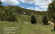 Just Realty Nanango - thumb 1