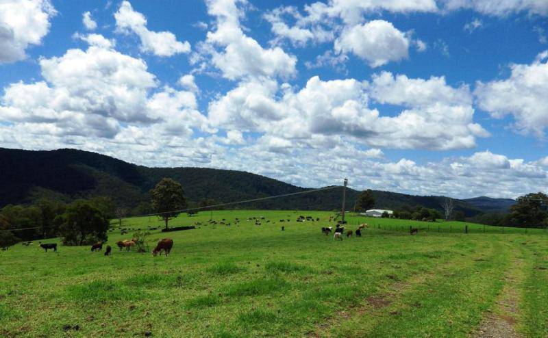 Valuers Real Estate Renee