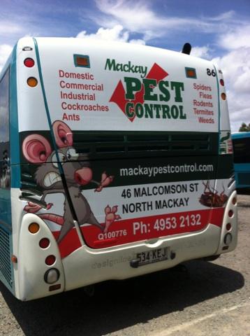 Bird Control Mount Pleasant NSW Renee