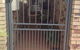 Caloundra Lace & Gates - thumb 4
