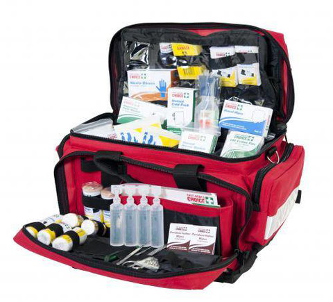 Accidental Health & Safety - Renee 2