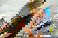 Walker Street Veterinary Surgery