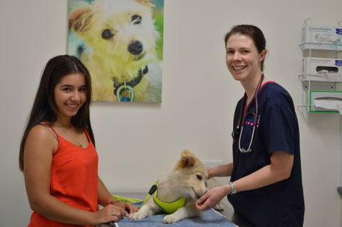 Walker Street Veterinary Surgery - Internet Find 3