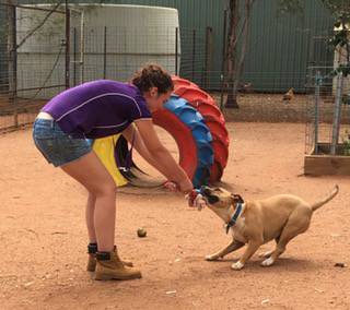 Pinecrest Boarding Kennels & Cattery - Renee 0