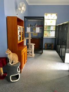 Pinecrest Boarding Kennels & Cattery - Renee 4