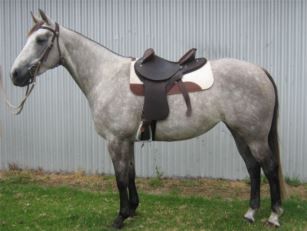 Jim Lyons Agency - Renee 3