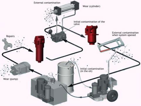 Central Queensland Hydraulics Pty Ltd - Renee 3