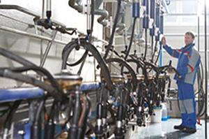 Mick Neal Pty Ltd - Renee 1