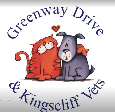 Kingscliff Veterinary Hospital - Renee 1