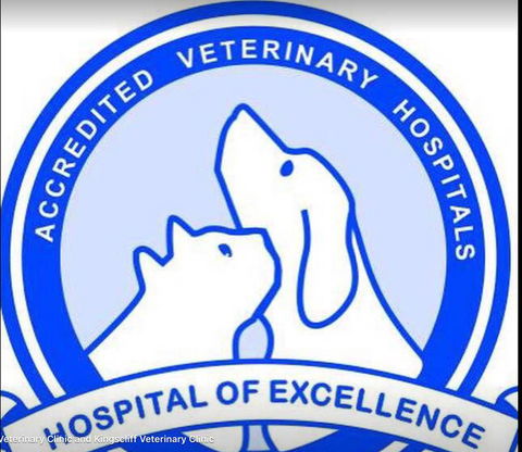 Kingscliff Veterinary Hospital - Renee 2