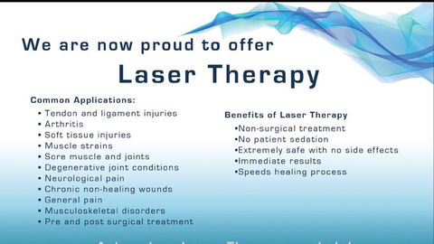 Kingscliff Veterinary Hospital - Renee 3