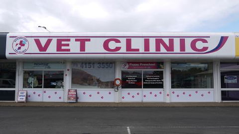 Sugarland Animal Hospital - Renee 4
