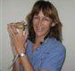 Ulysses Veterinary Clinic Cairns - Swimm