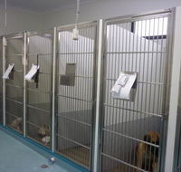 Marlin Coast Veterinary Hospital - Qld Realsetate