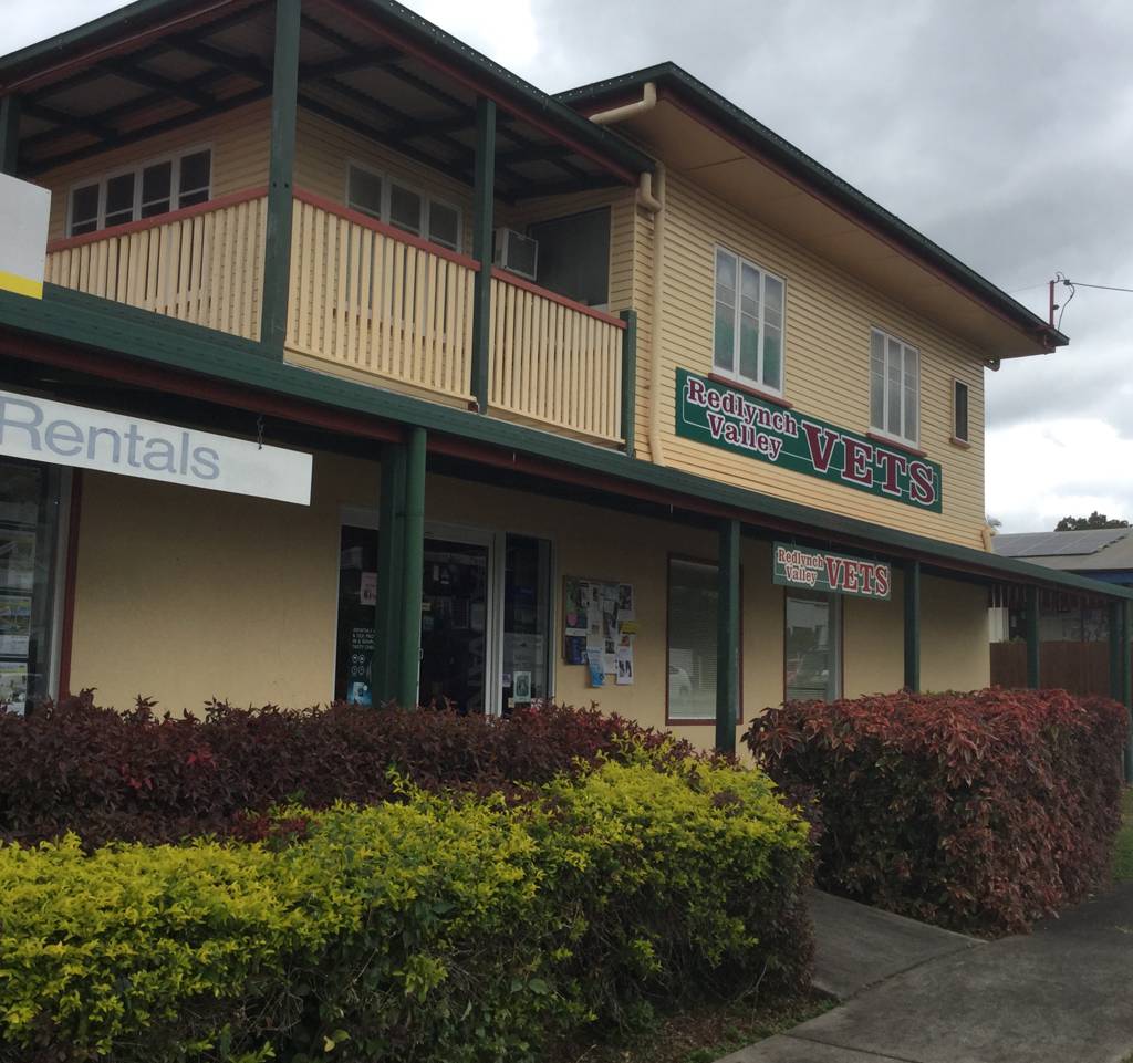 Vets Redlynch QLD Renee