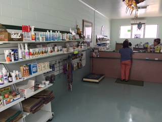 Mareeba Veterinary Surgery - Swimm 0