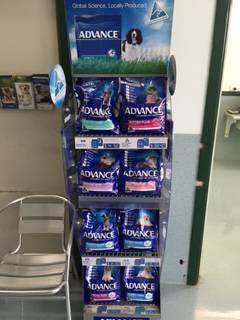 Mareeba Veterinary Surgery - Swimm 1