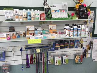 Mareeba Veterinary Surgery - Swimm 2