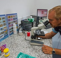 Blue  White Veterinary Surgery Woolgoolga - Qld Realsetate