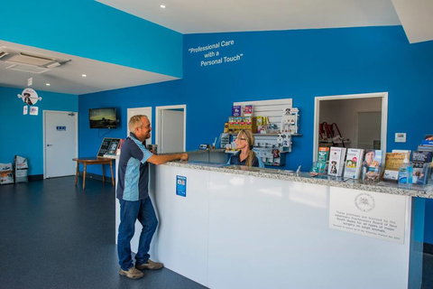 Blue & White Veterinary Surgery Woolgoolga - Qld Realsetate 1