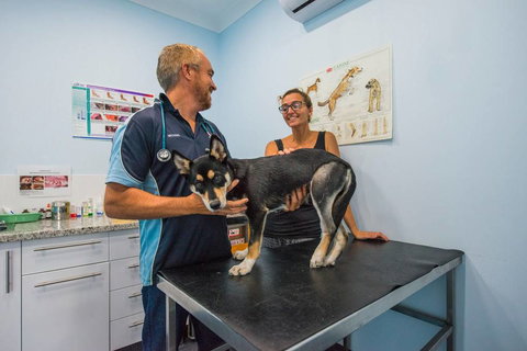Blue & White Veterinary Surgery Woolgoolga - Qld Realsetate 2