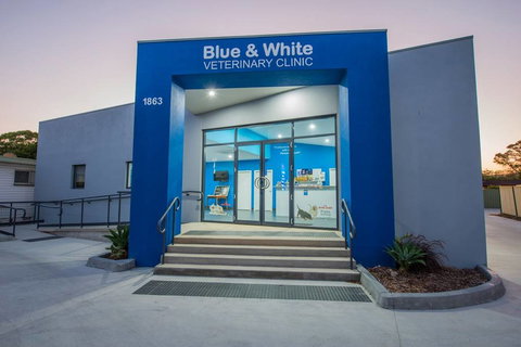 Blue & White Veterinary Surgery Woolgoolga - Qld Realsetate 3