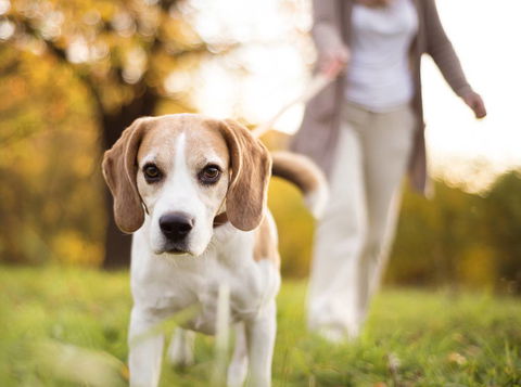Riverbank Animal Hospital - Renee 0