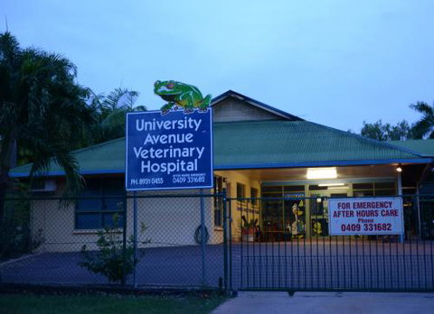 University Avenue Veterinary Hospital - Renee 1