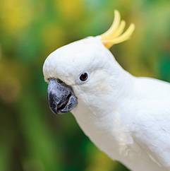 University Avenue Veterinary Hospital - Renee 5