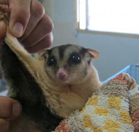 Maryborough Veterinary Surgery - Qld Realsetate